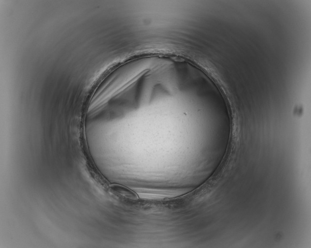 X0000111620434200907311206