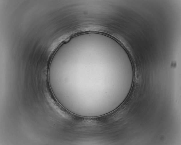 X0000111620437200907311207