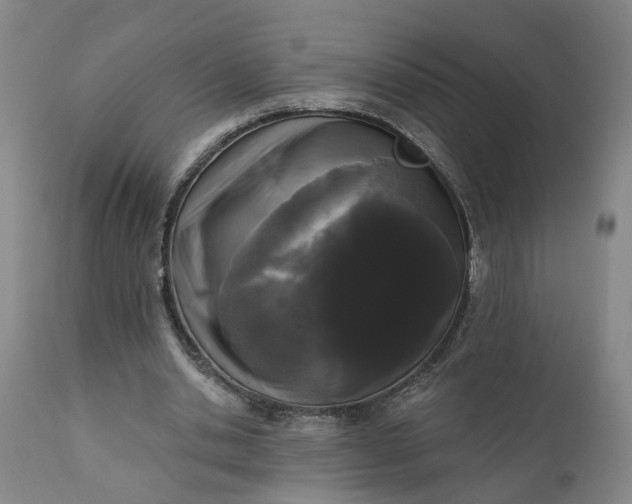 X0000111620438200907311207