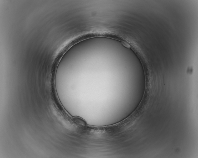 X0000111620440200907311207