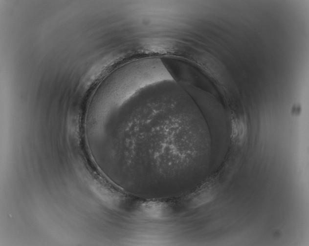 X0000111620444200907311207