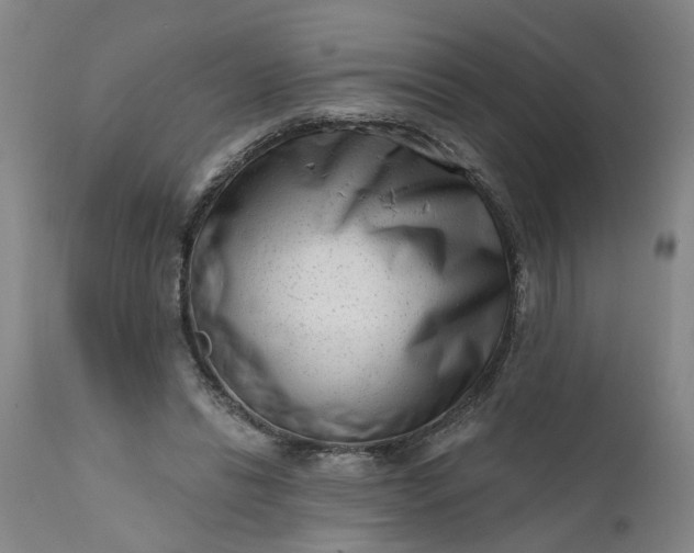 X0000111620446200907311207