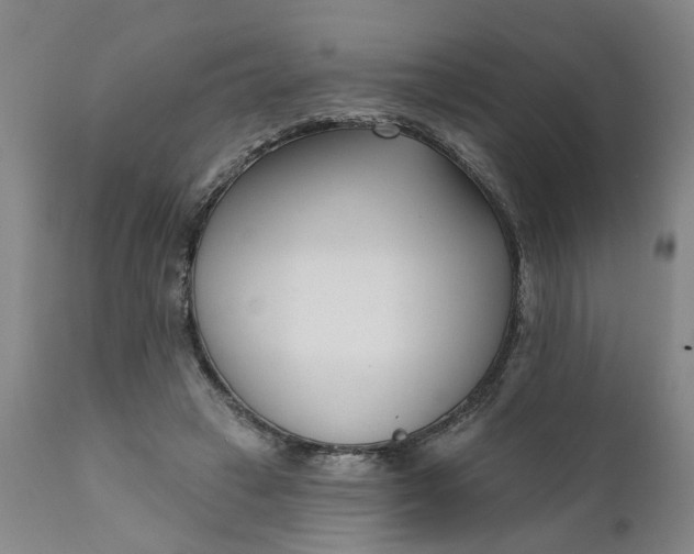 X0000111620449200907311207