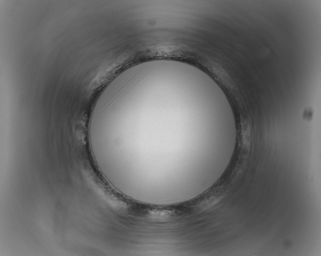 X0000111620450200907311207