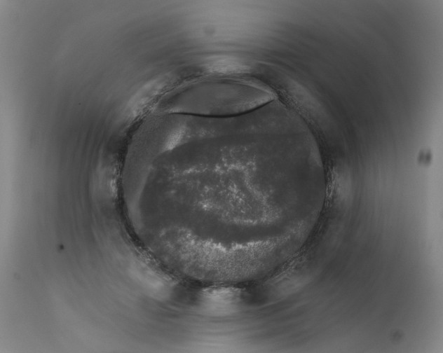 X0000111620452200907311207