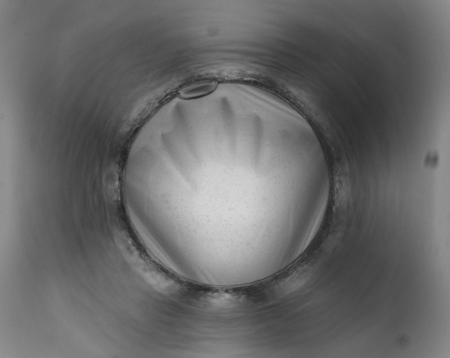 X0000111620453200907311207