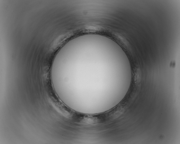 X0000111620455200907311207