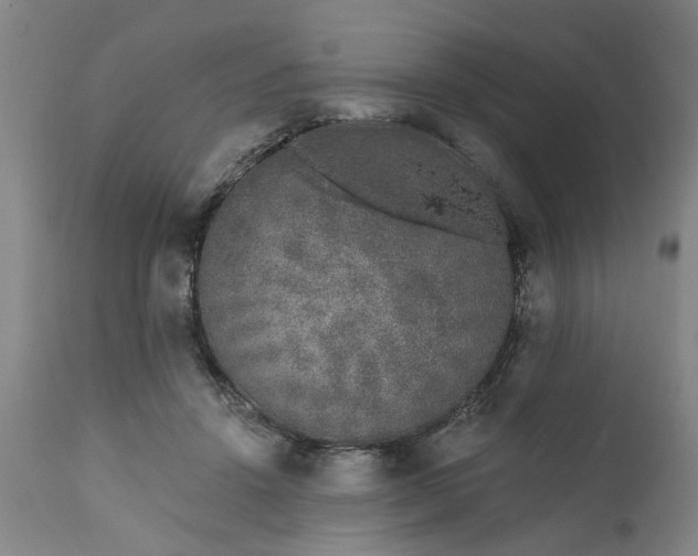 X0000111620456200907311207