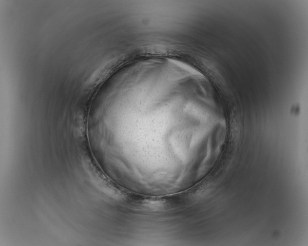 X0000111620457200907311207