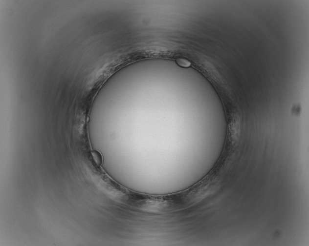 X0000111620458200907311207