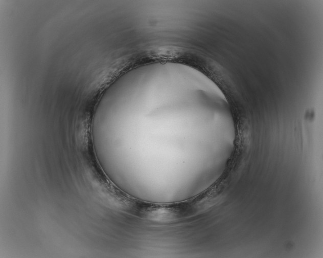 X0000111620460200907311207