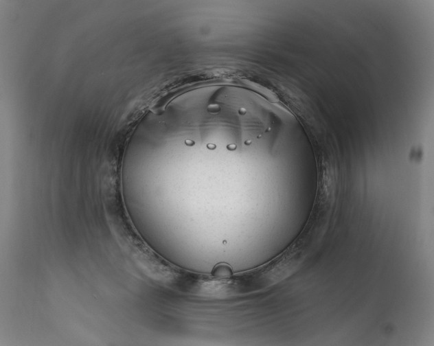 X0000111620461200907311207