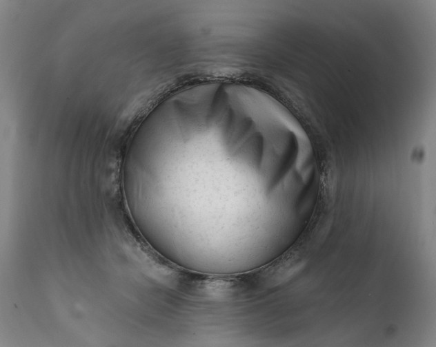 X0000111620462200907311207