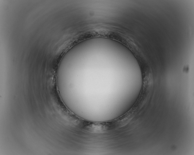 X0000111620464200907311207