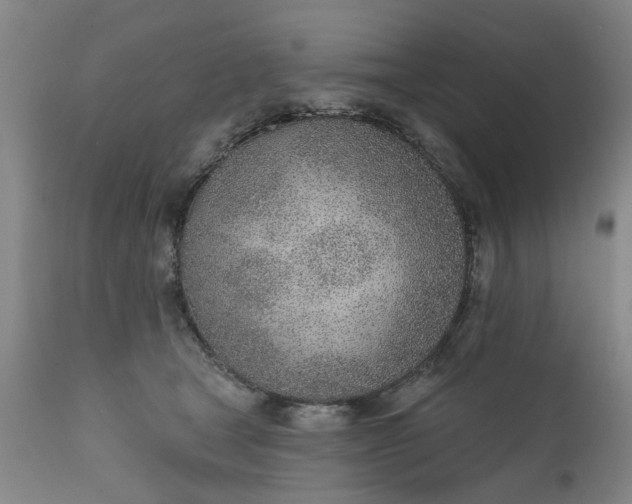 X0000111620465200907311207