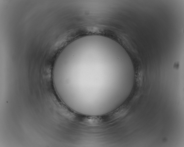 X0000111620466200907311207