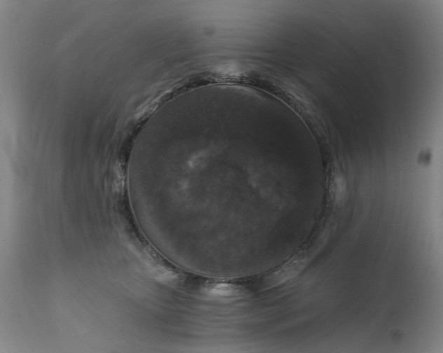 X0000111620467200907311207