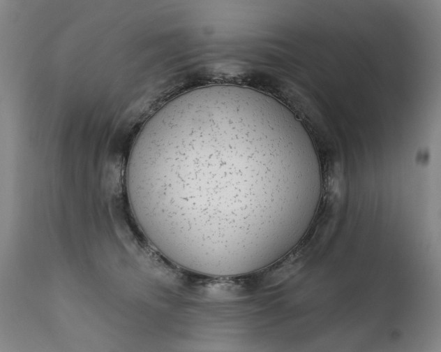 X0000111620468200907311207