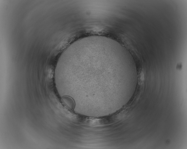 X0000111620472200907311207