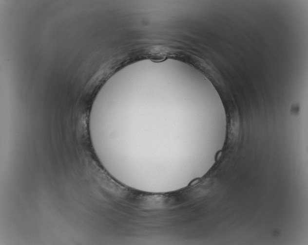 X0000111620473200907311207