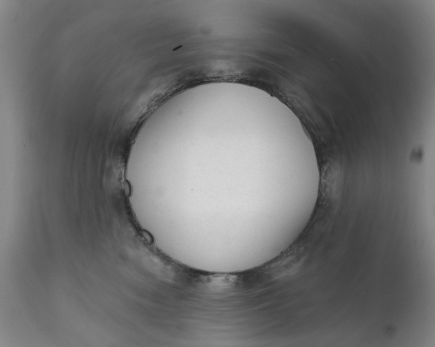 X0000111620474200907311207