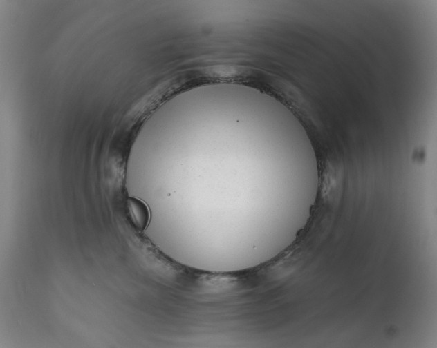 X0000111620476200907311207