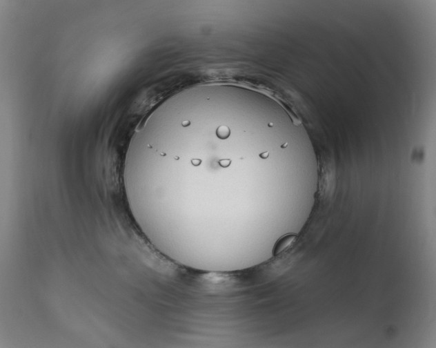 X0000111620477200907311207