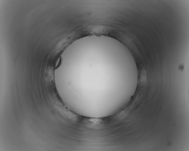 X0000111620478200907311207