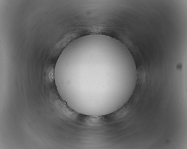 X0000111620479200907311207