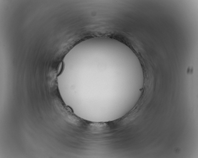 X0000111620480200907311207