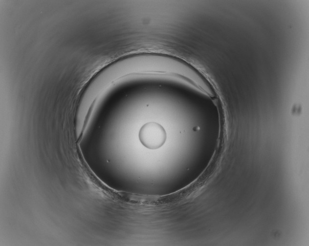 X0000111620481200907311206