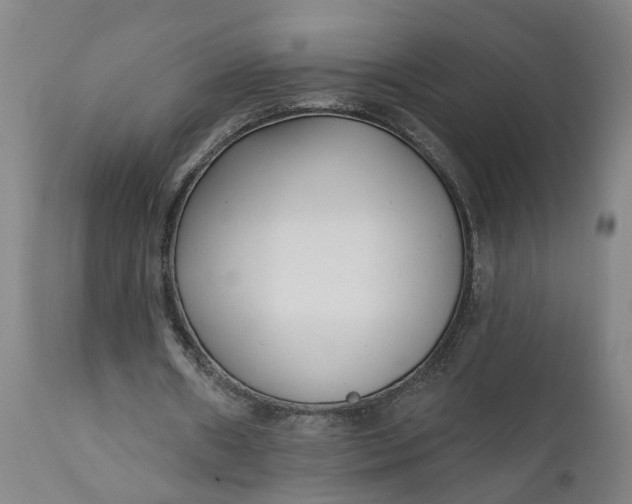 X0000111620482200907311206