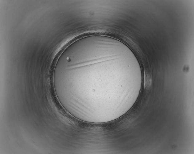 X0000111620483200907311206