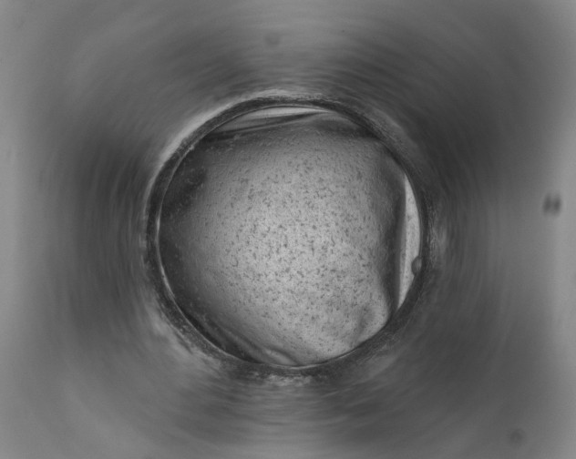 X0000111620484200907311206