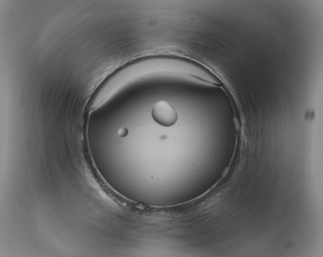 X0000111620485200907311206