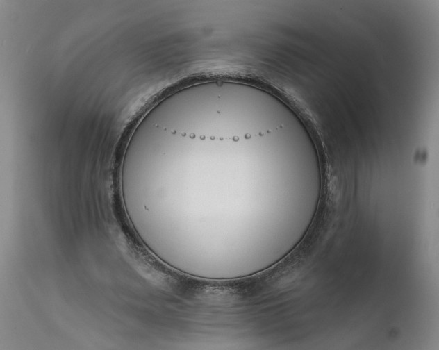 X0000111620487200907311206