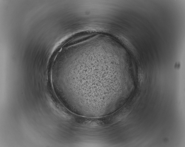 X0000111620488200907311206