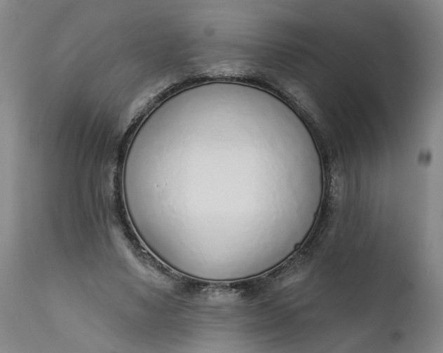 X0000111620491200907311206