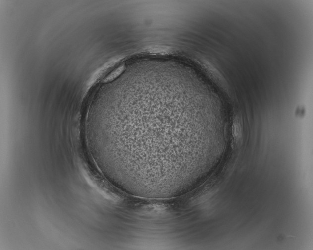 X0000111620492200907311206