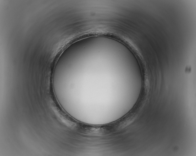 X0000111620493200907311206