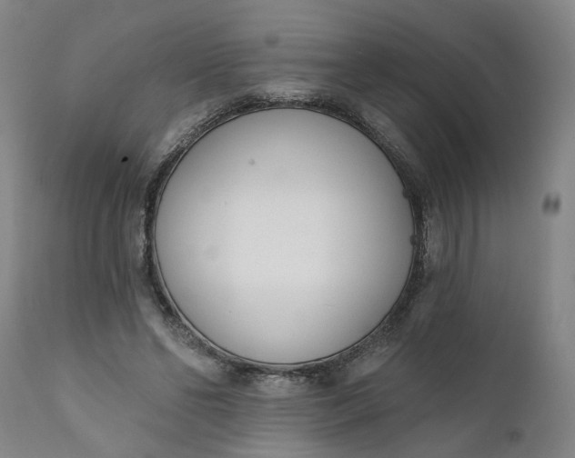 X0000111620494200907311206