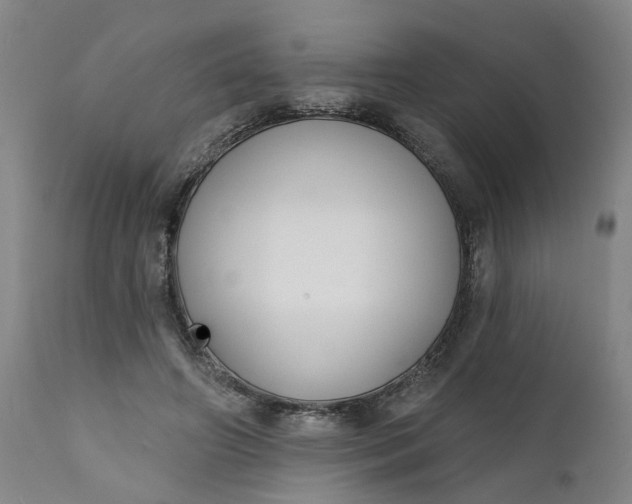 X0000111620498200907311206