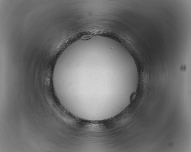 X0000111620499200907311206