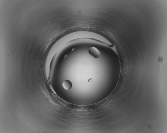 X0000111620500200907311206