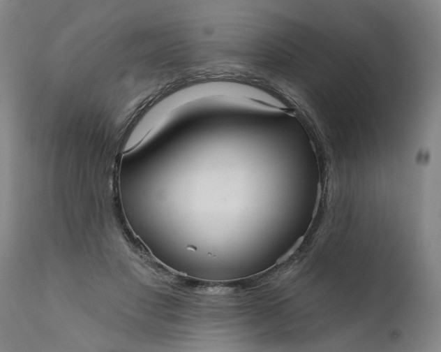 X0000111620501200907311206