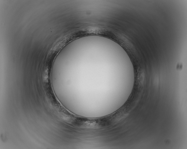 X0000111620502200907311206