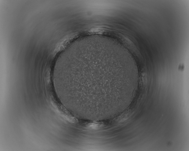 X0000111620504200907311206