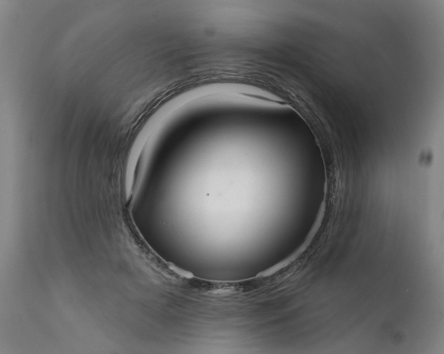 X0000111620505200907311206