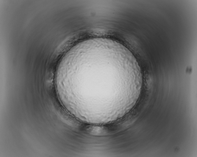 X0000111620507200907311206