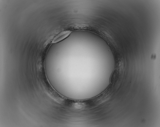 X0000111620508200907311206